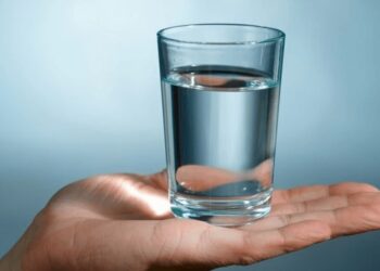 Function of Water for the Body