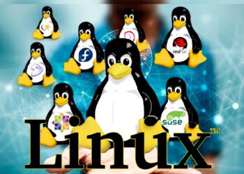 Various Types of Linux Operating Systems and Their Advantages