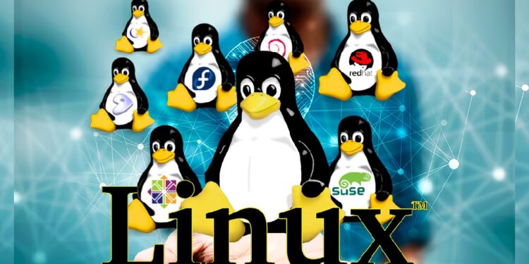 Various Types of Linux Operating Systems and Their Advantages