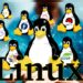 Various Types of Linux Operating Systems and Their Advantages
